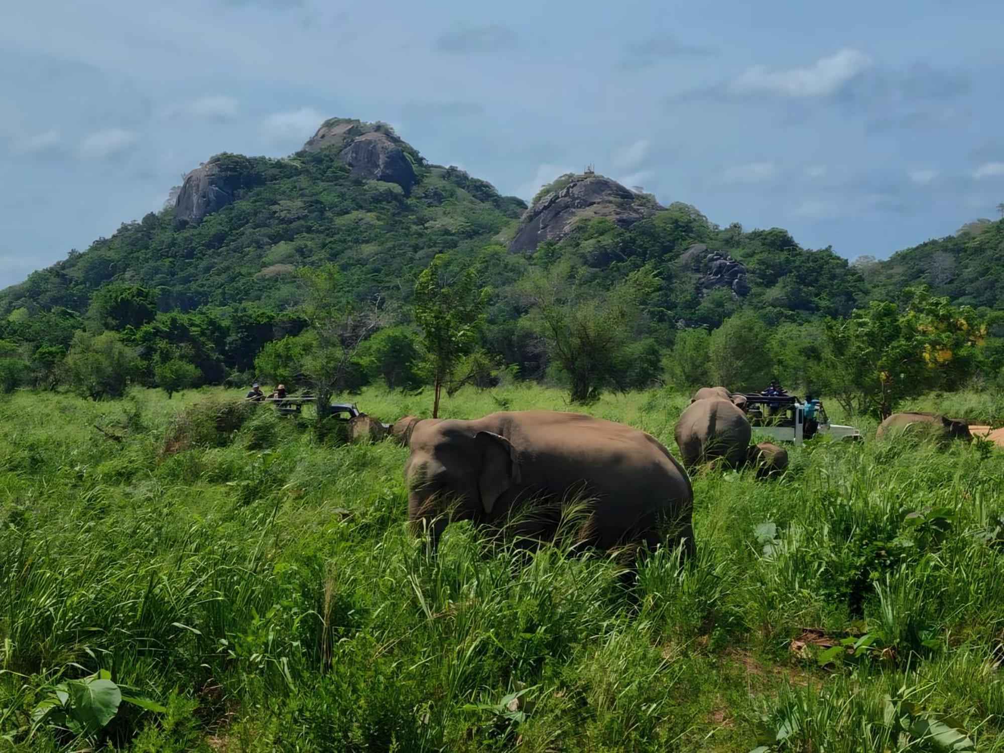 Relax Nature Villa Sigiriya Exterior foto
